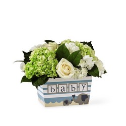 The FTD Darling Baby Boy Bouquet from Krupp Florist, your local Belleville flower shop